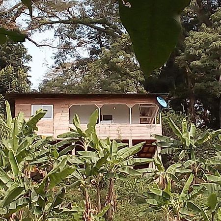 Casa De Andrea Villa Santo António Buitenkant foto