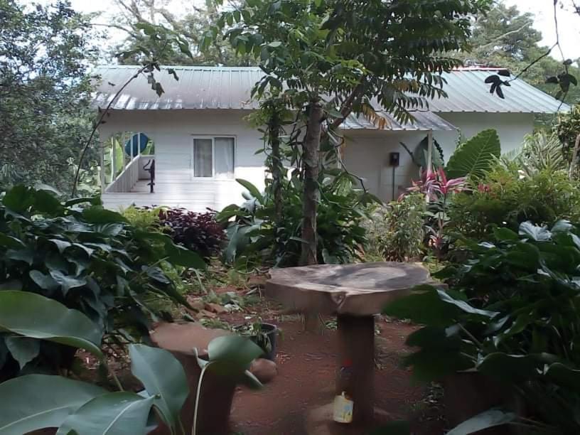 Casa De Andrea Villa Santo António Buitenkant foto