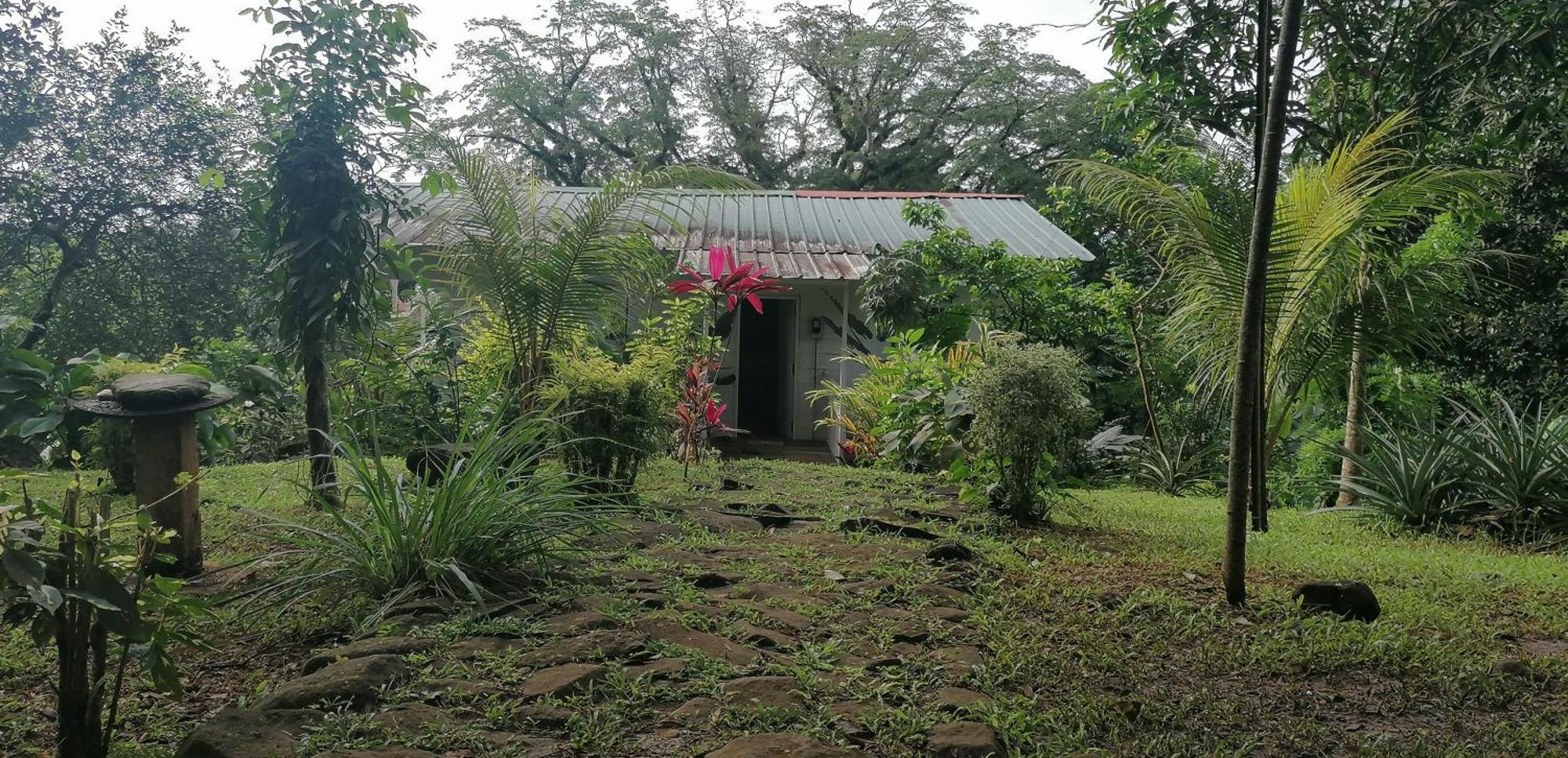 Casa De Andrea Villa Santo António Buitenkant foto
