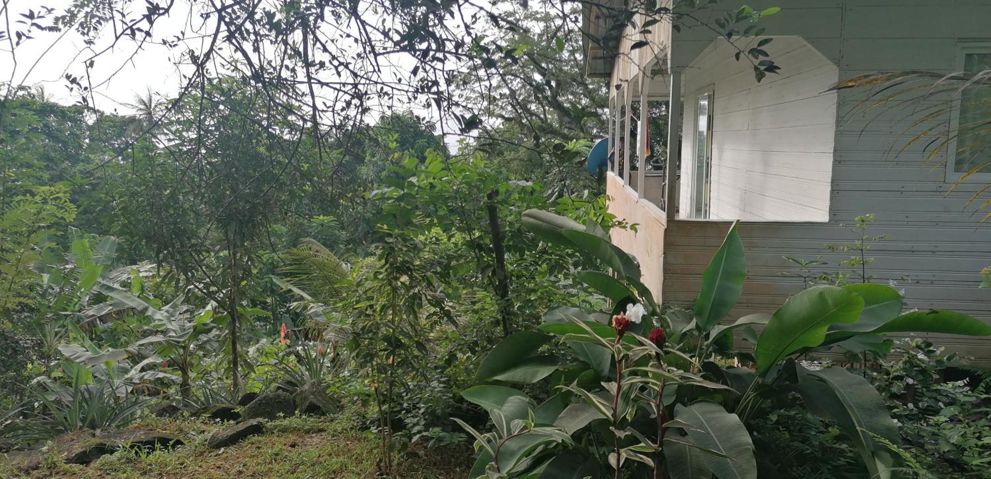 Casa De Andrea Villa Santo António Buitenkant foto
